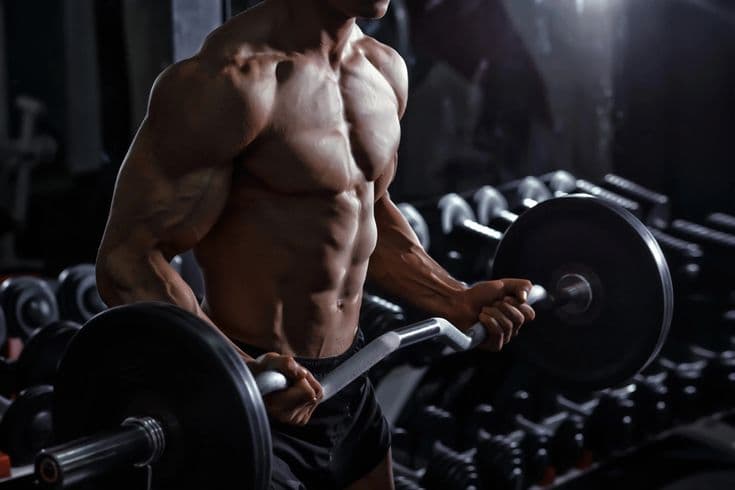 The 7-Days Muscle Building Compass